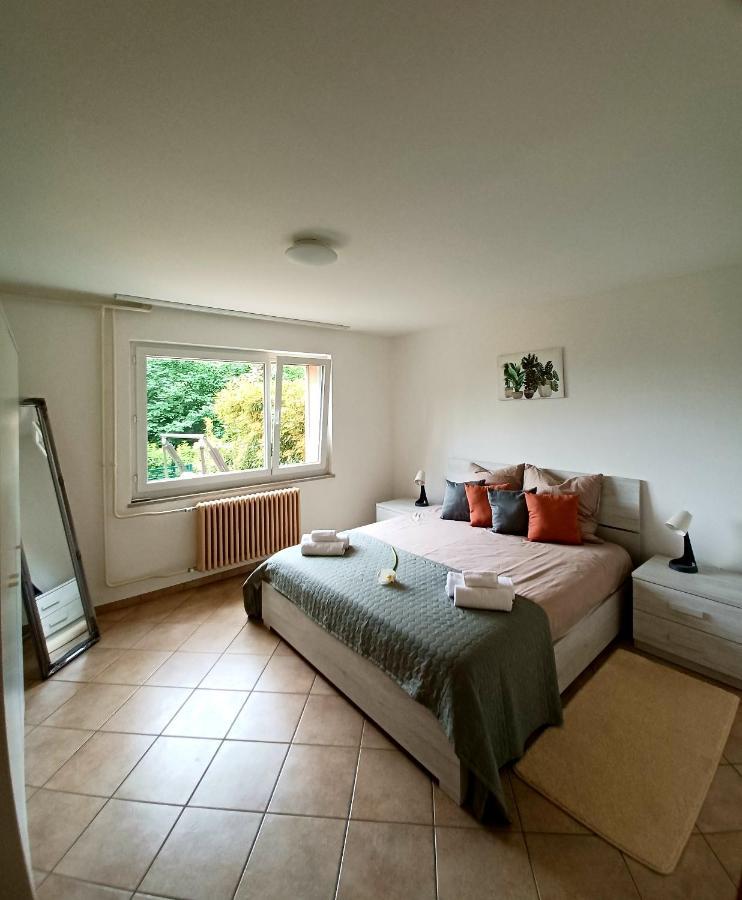 I Vallata Paradise I Free Parking - Garden&View - 10Minutes From Lugano Exteriör bild