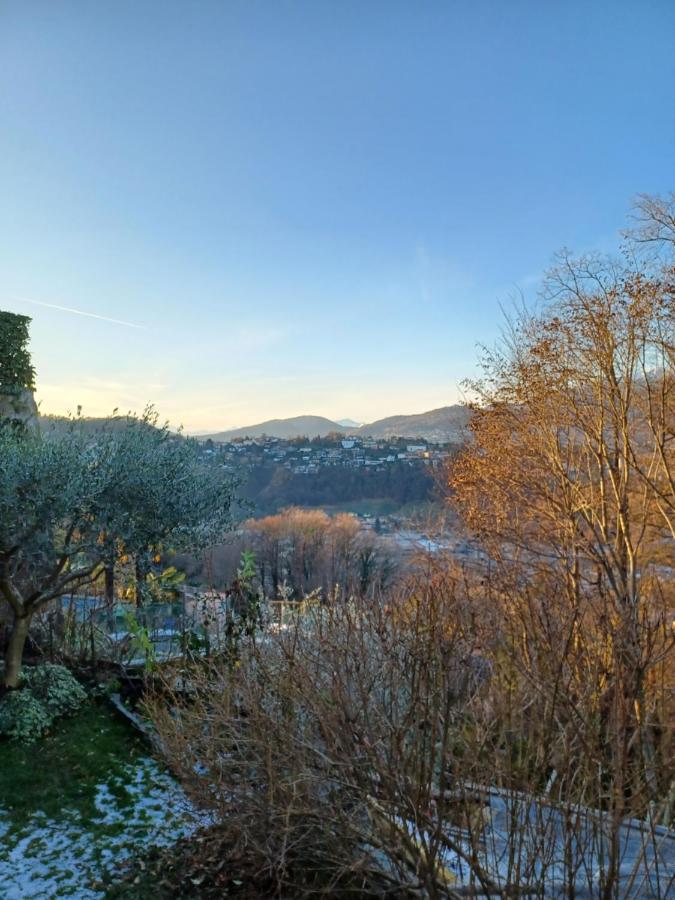 I Vallata Paradise I Free Parking - Garden&View - 10Minutes From Lugano Exteriör bild