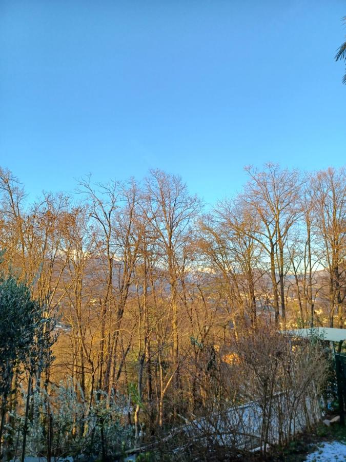 I Vallata Paradise I Free Parking - Garden&View - 10Minutes From Lugano Exteriör bild