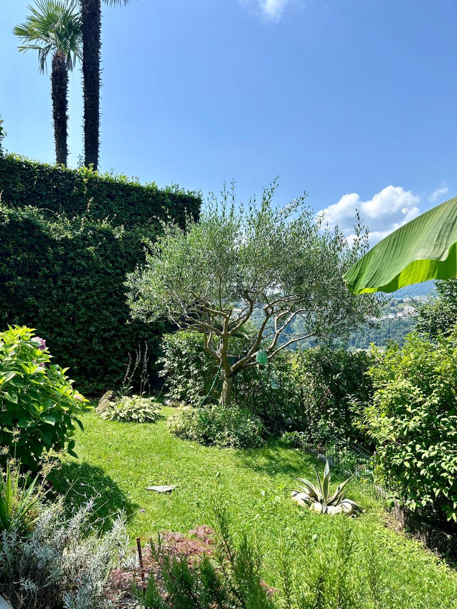 I Vallata Paradise I Free Parking - Garden&View - 10Minutes From Lugano Exteriör bild