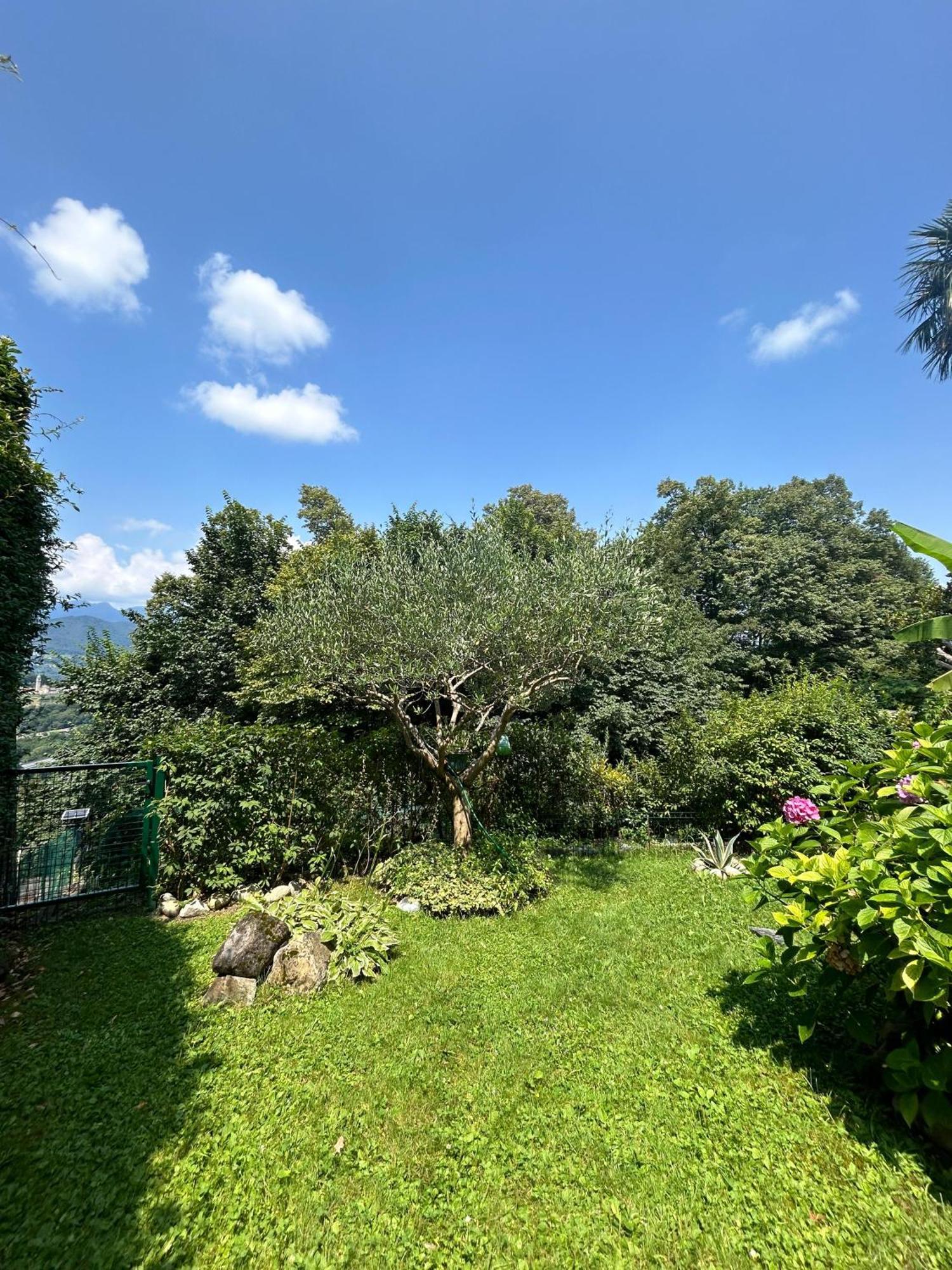 I Vallata Paradise I Free Parking - Garden&View - 10Minutes From Lugano Exteriör bild